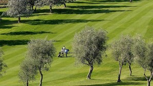 Um campo de golfe com grama bem cuidada e árvores.
