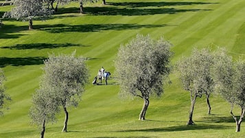 Golfe