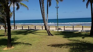 A grassy area with palm trees and a beach in the background. - PORTO DE GALINHAS BANGALO PREMIUM AT THE BEACH CLASS HOTEL (ipojuca)