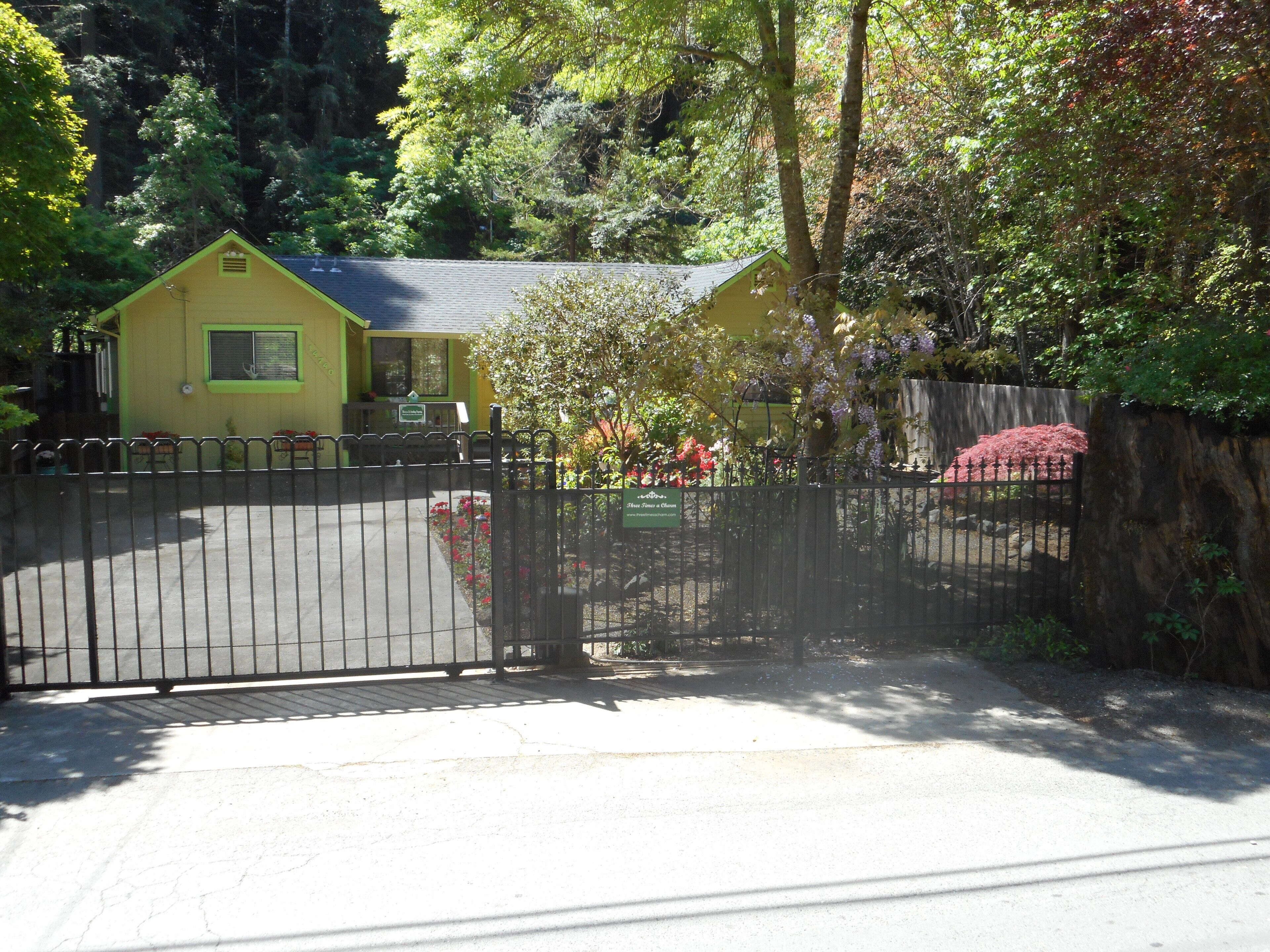 A Whimsical Retreat Amongst the Redwoods
