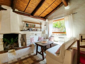 TV, fireplace, DVD player, books