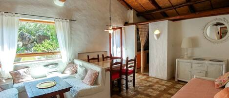 TV, fireplace, DVD player, books