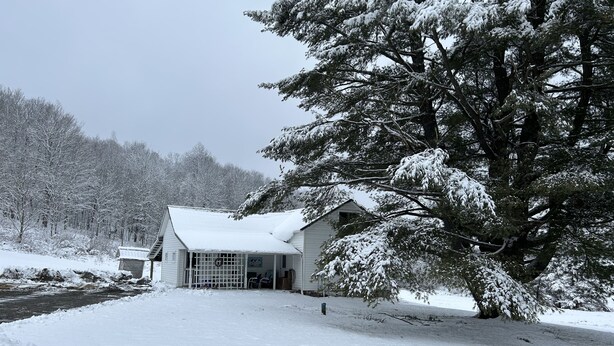 Een huis bedekt met sneeuw, met een veranda en een grote boom ervoor.