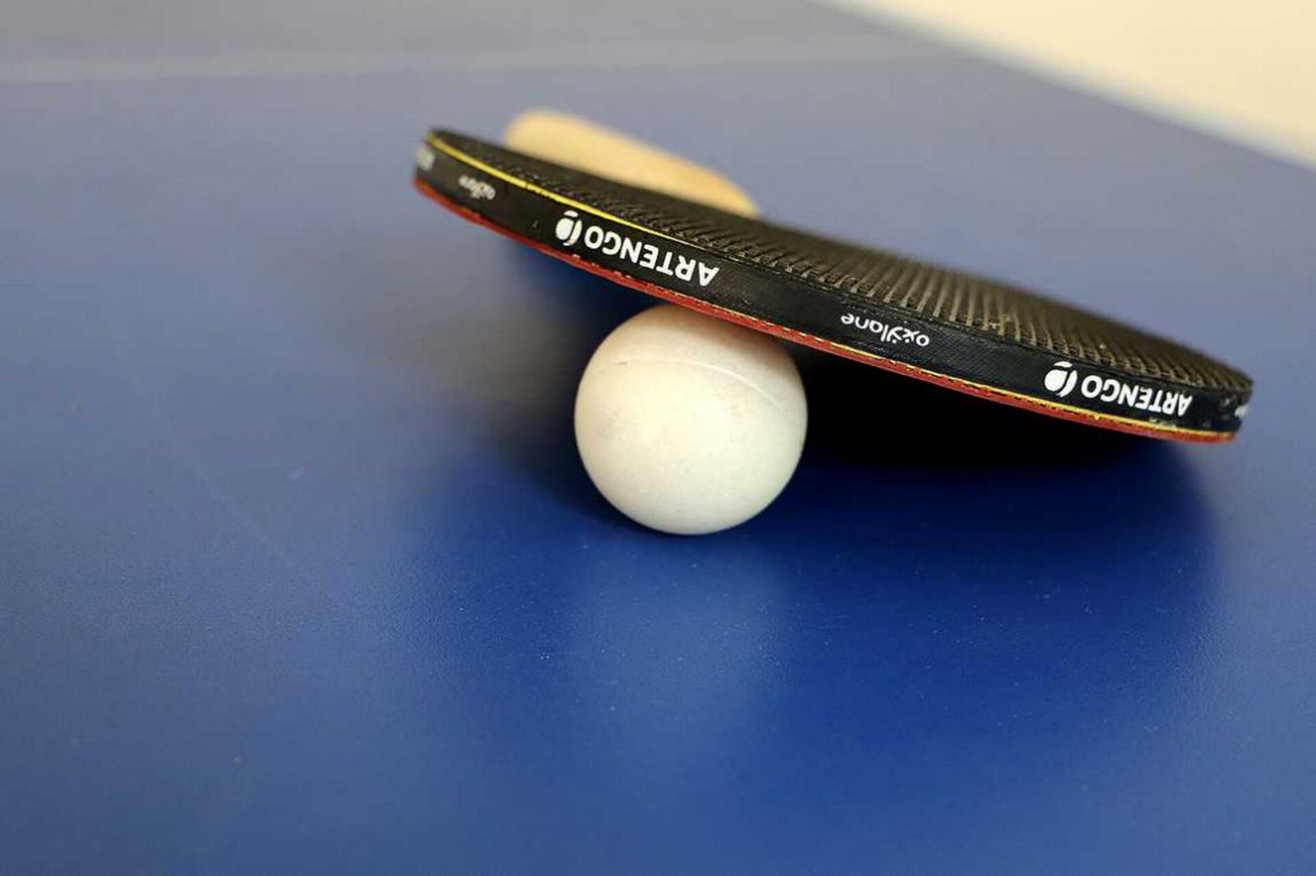 RURAL ACCOMMODATION CAL RECTOR NEXT TO THE MONSTERAT MOUNTAIN