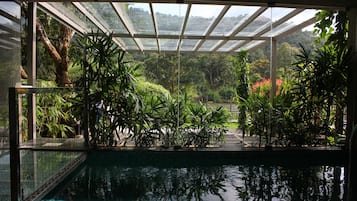 Plunge Pool Suite | View from room