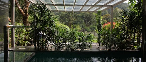 Villa – premium, 1 kingsize-seng, ikke-røyk, elveutsikt | Utsikt fra rommet