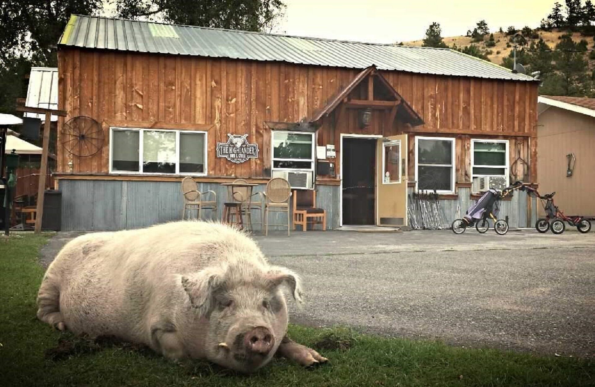Fall in Love with Glamping in a Comfy Queen Bed!