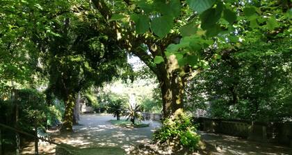 Estudio 32 - Centro Histórico - Estudio Doble