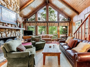 TV, fireplace, ping pong, books