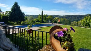 A pool area with a metal fence, a flower pot with purple flowers, and a clear view of a mountainous landscape in the background.