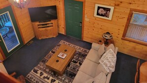 L’intérieur d’un chalet accueillant, avec un plancher en bois, un téléviseur posé sur un meuble en bois, une porte verte, un tableau encadré accroché au mur et un tapis à motifs.
