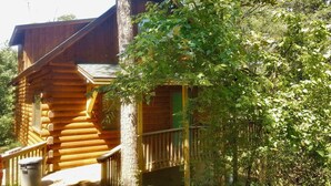 Une cabane en bois dotée d’un porche et d’une fenêtre, entourée de verdure.