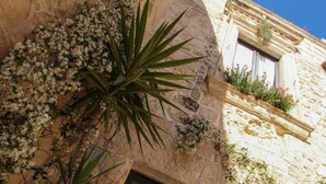 Un bâtiment en pierre avec une fenêtre et une plante qui pousse sur le mur.