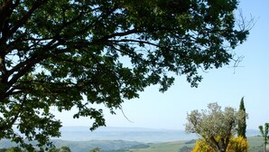 Un sentier de pierres mène à un bâtiment rustique, entouré d’une végétation luxuriante et offrant une vue pittoresque sur des collines ondulantes.