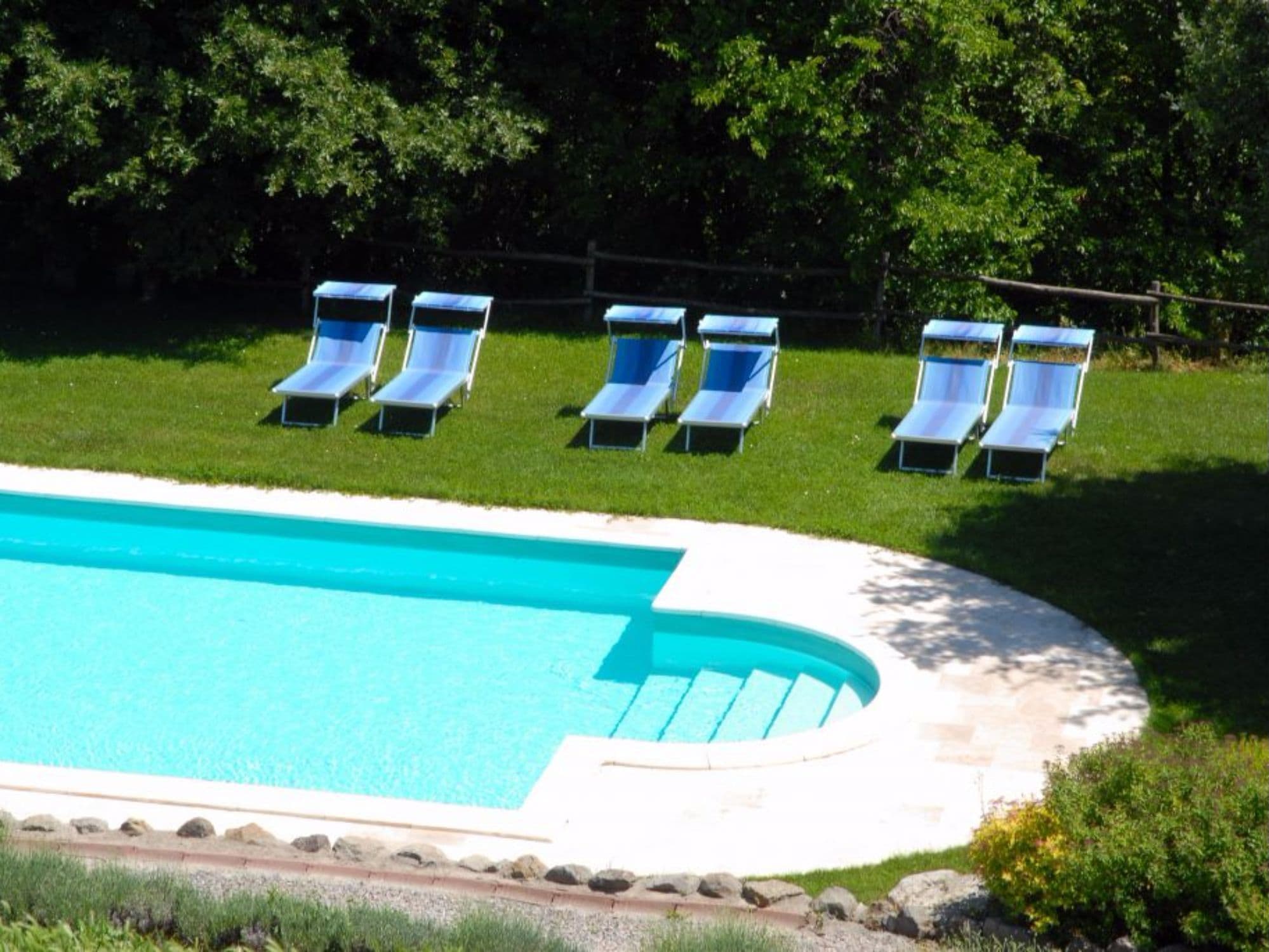 Une piscine à bord incurvé, entourée d’une pelouse et d’arbres.