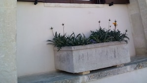 A window with brown shutters, a small balcony with potted plants, and a stone archway.