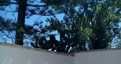 The grandparents' house of 1945