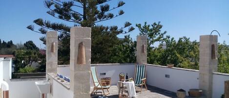 テラス / パティオ