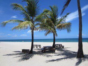 Een strand met palmbomen, een bank en picknicktafels.