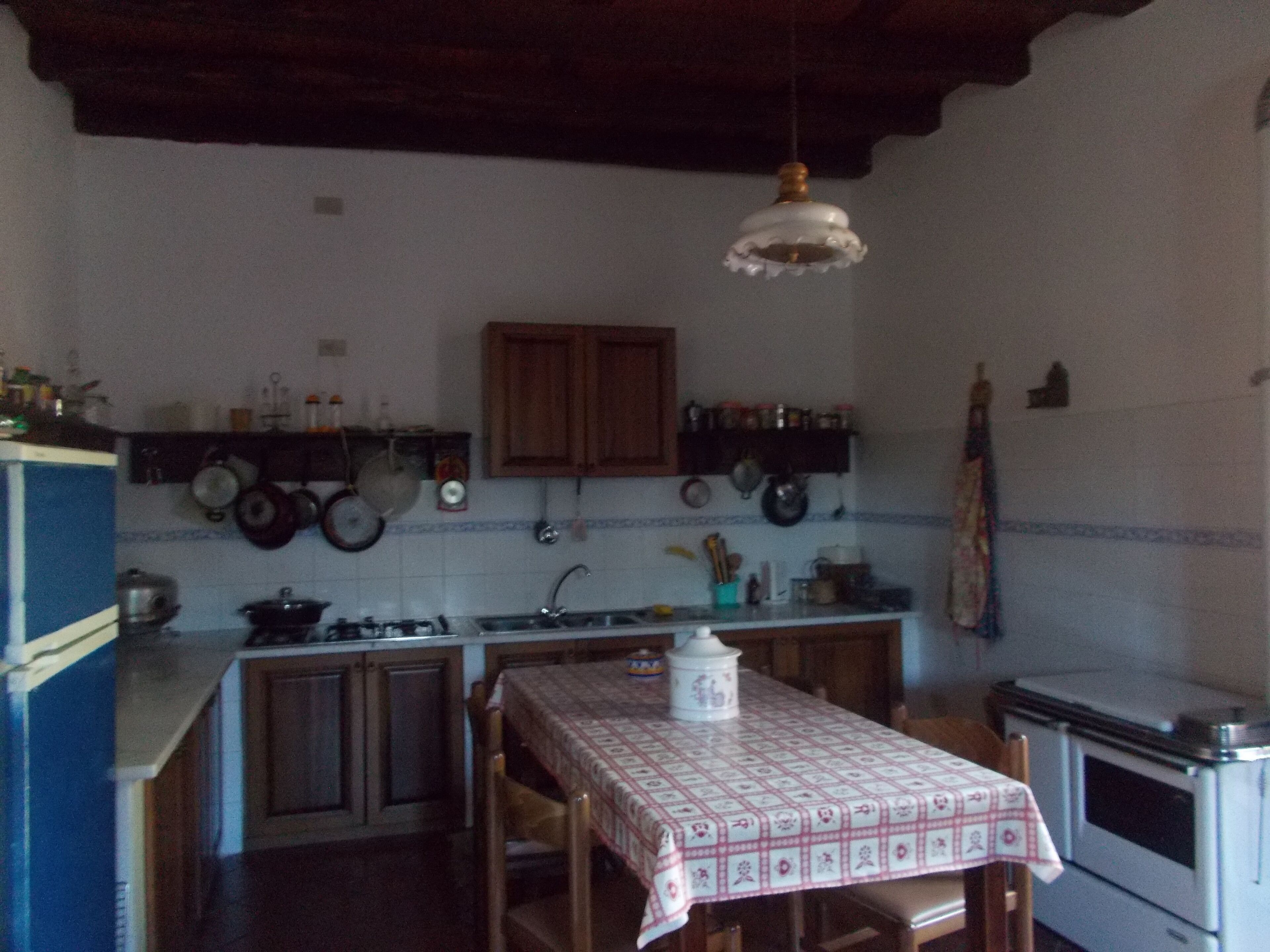 Rural house surrounded by greenery