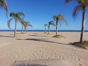 A sandy beach with palm trees and a clear blue sky.