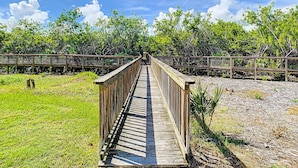 A wooden boardwalk leading through a natural area with dense vegetation and a clear sky.