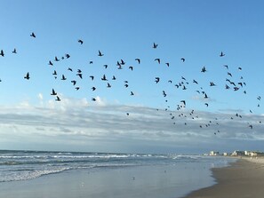 Am Strand, Liegestühle, Strandtücher