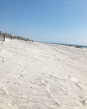 Playa en los alrededores 