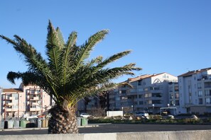 Eksteriør
