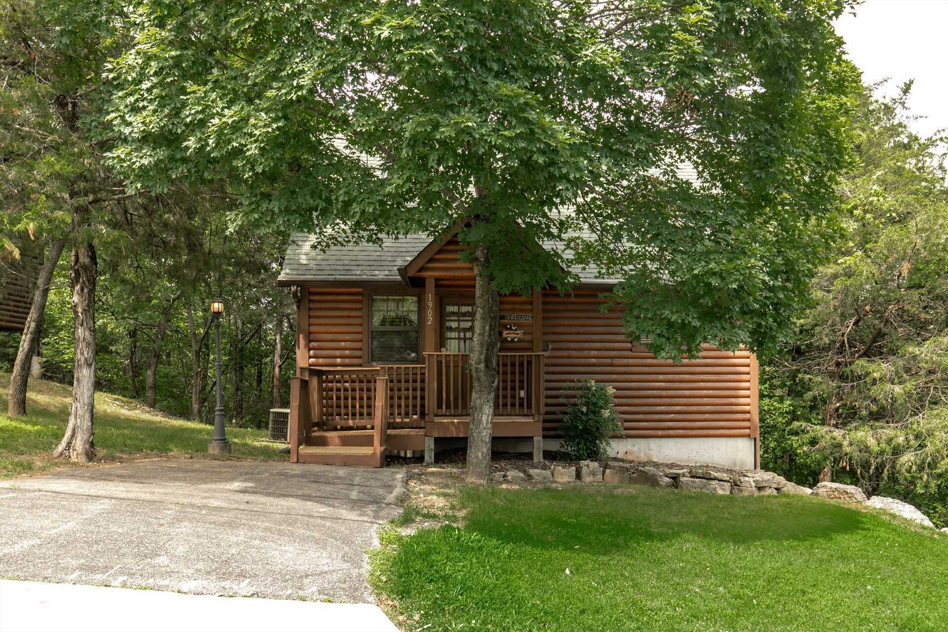Luxury Cabin ! King Bed, Full Kitchen, Fireplace, 3 Pools! | A1