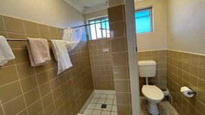 A bathroom with a toilet, a shower area, and a window.