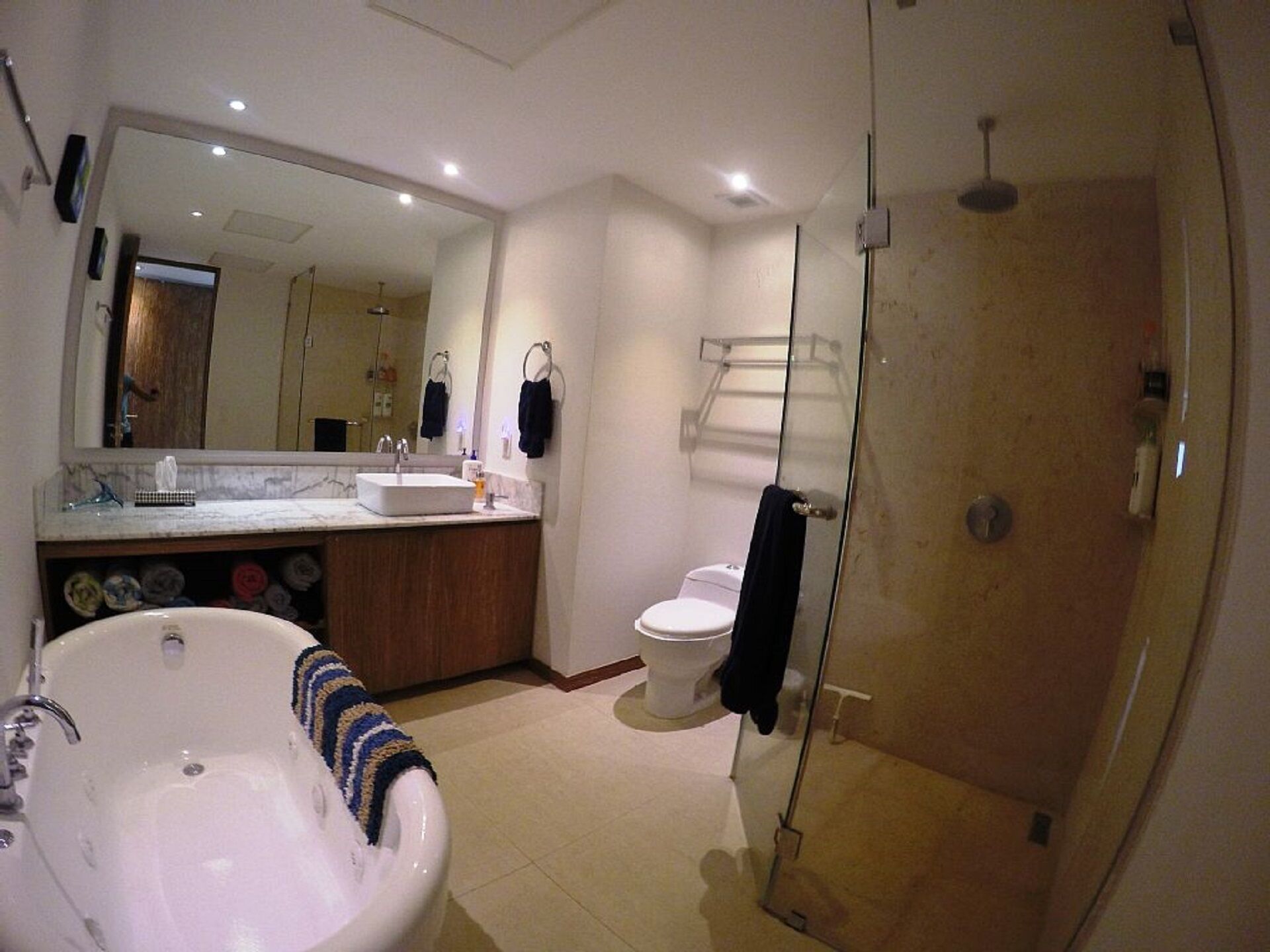 NUEVO VALLARTA LUXURY PENÍNSULA BEACHFRONT    