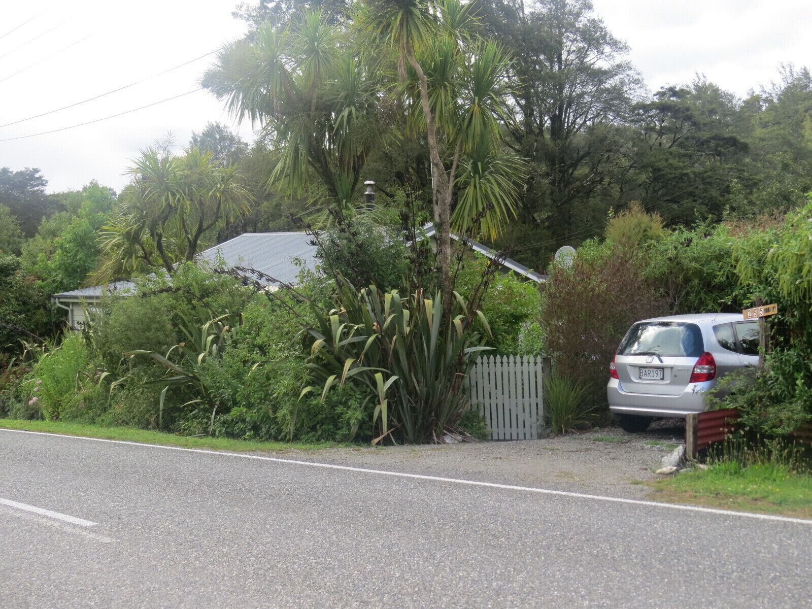 A residential area with a house partially obscured by dense vegetation and a parked car.