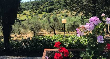 Apartment mit zwei Schlafzimmern Cicala in der toskanischen Landschaft