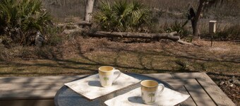 Marsh-front Cottage where the Broad River begins - with a magnificent view!