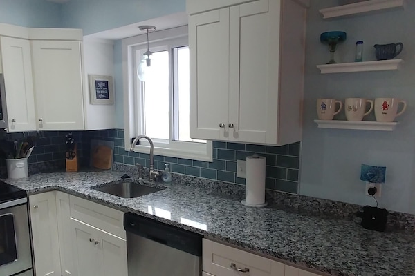 updated kitchen with stainless steel appliances and view of the lake.