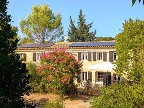 A traditional building with a tiled roof, a garden with flowering plants, and outdoor seating.