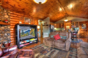 Smart TV, fireplace, books
