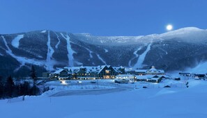 Eksteriør