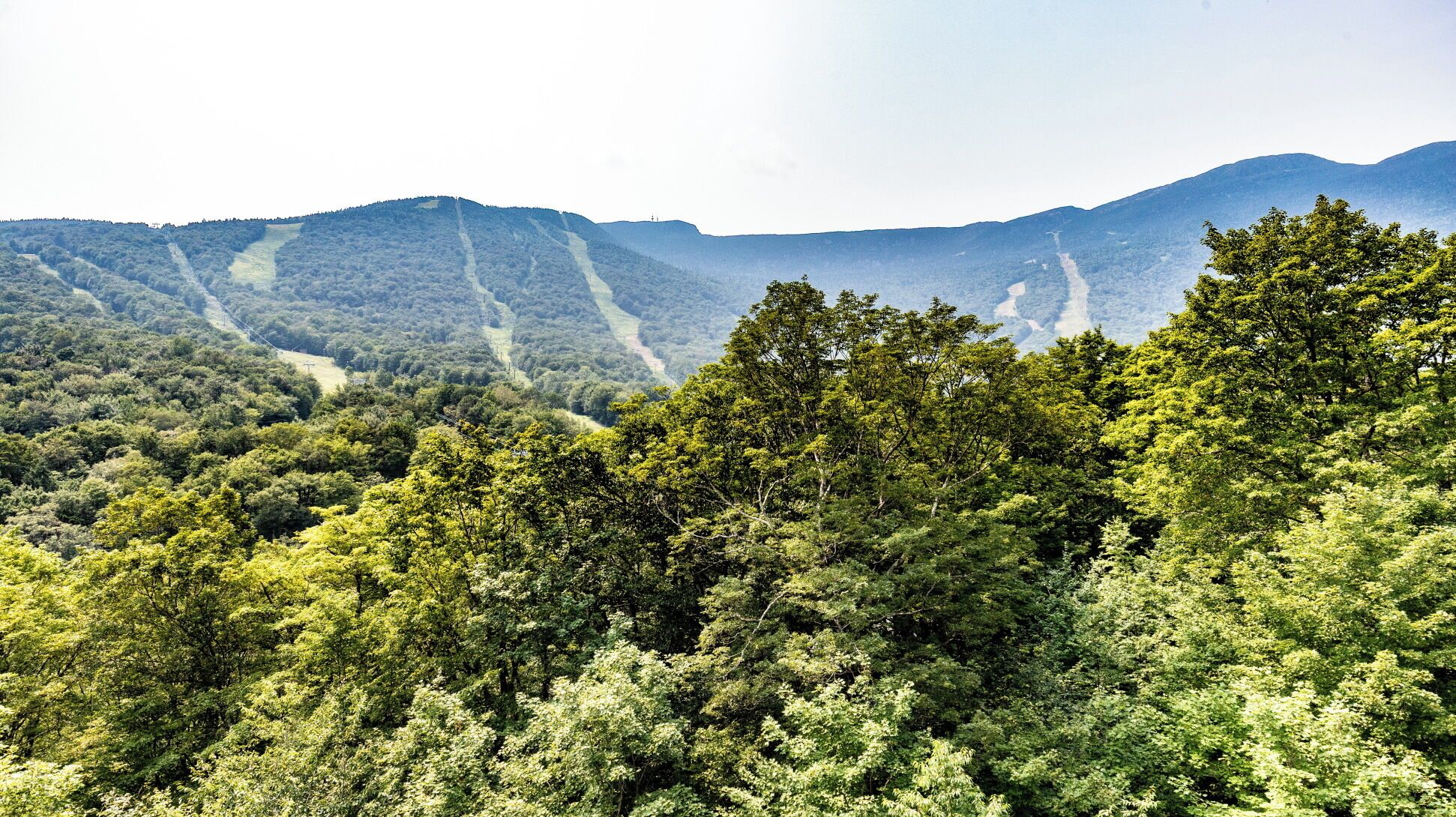 Un paisaje montañoso con densa vegetación y un camino sinuoso.