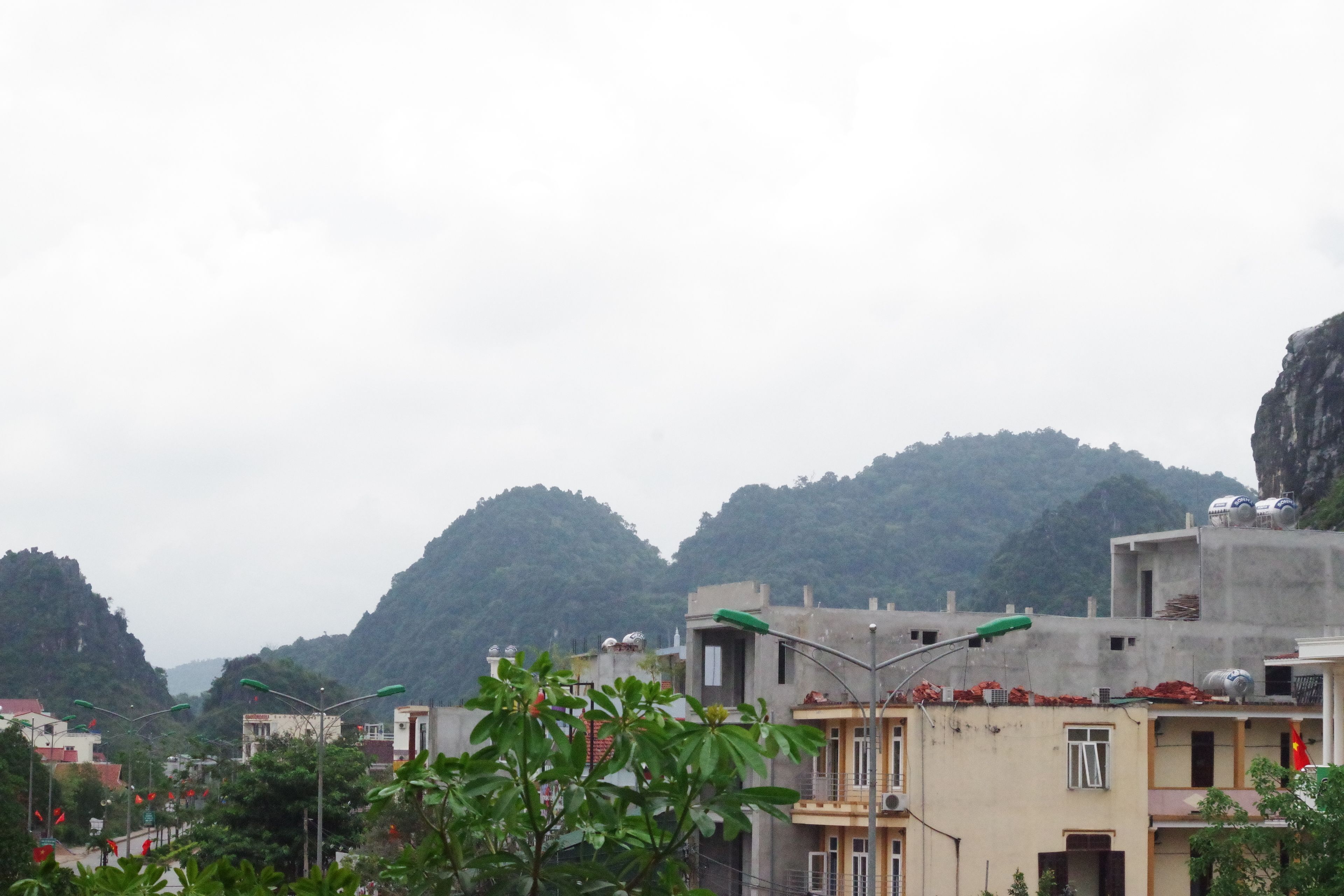 Un quartier résidentiel avec des immeubles, des lampadaires et de la verdure.