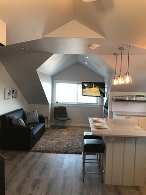 Smart TV, fireplace, books