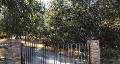 Manzanita Lake Cabin w/ great views