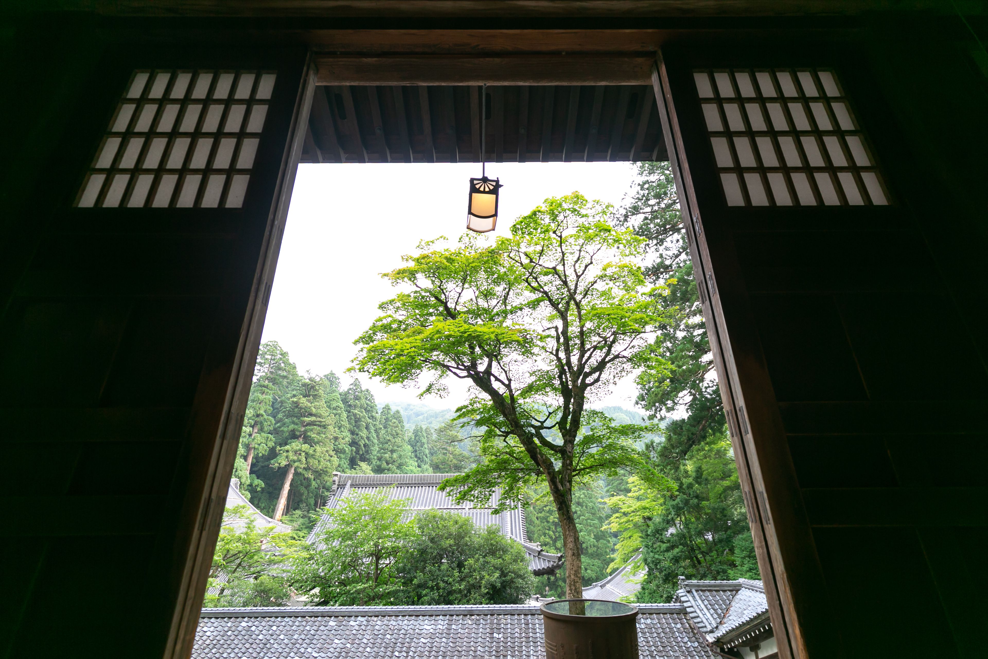 A traditional Japanese building with a view of a tree through a wooden lattice window.