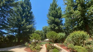 Un jardin bien entretenu, agrémenté de divers arbres et arbustes, d’un chemin de gravier et d’une pelouse.