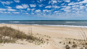 Ein Strand mit Sand und spärlicher Vegetation.