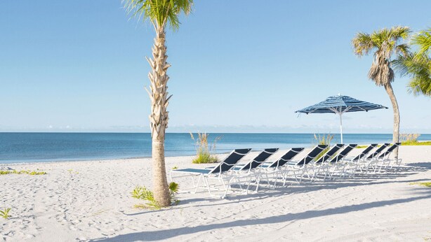 A beach with rows of sun loungers and a palm tree. - Gulf-View & Fully Renovated Condo E31— Steps to the Beach at Pointe Santo (Sanibel)