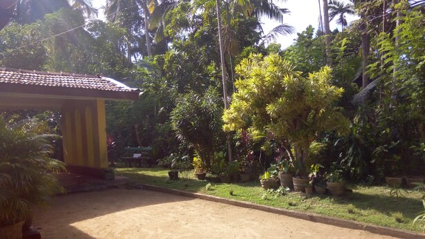 Garden - Shenya Villa Home Stays (Bentota)