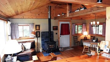 Télévision, cheminée, livres