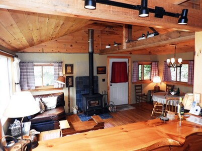 Hand-Crafted Cottage near Gore Mountain and Minerva Lake